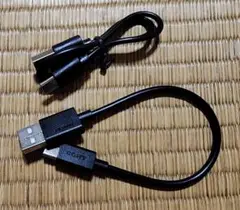 USB Type-Cケーブル SONY