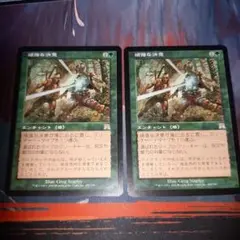 MTG オンスロート　緑属性　日本語版　頑強な決意　2枚セット