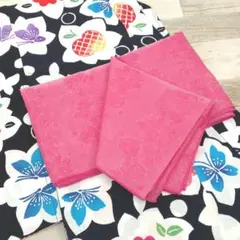 Item thumbnail for item 062face9-a89d-4985-a0af-b085515f6881