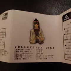 逆転裁判 ピントレコレクション 宝月茜