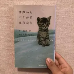 世界からボクが消えたなら
