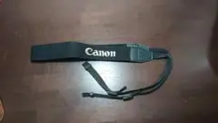 Item thumbnail for item 9bccaa97-2730-49c0-b4b7-4aadd5fb617f