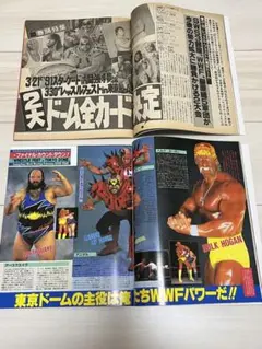 週刊ゴング 2冊!SWS.天龍.ホーガン.ロードウォリアーズ.WWF.闘強導夢