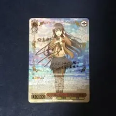 2025年最新】君と過ごした一年間 桜島 麻衣 abrの人気アイテム