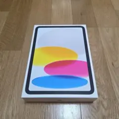 iPad (A16)Wi-Fi+Cellular128GB+カバー類セット
