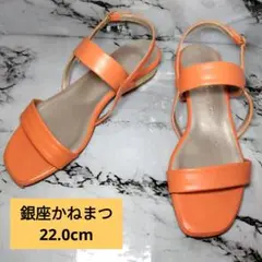 Item thumbnail for item 9789fc94-5bdb-41a4-bfcb-ee3bed7ba1ef
