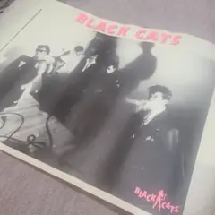 BLACK CATS ポスター ☆希少☆ - メルカリ