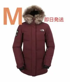 新品タグTHE NORTH FACE SNOW EXPEDITION DOWN