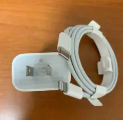 Apple純正20W USB-C電源アダプタ + Lightningケーブル