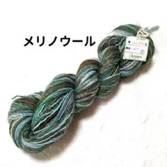 【値下げ】ブリコルール 段染かせ毛糸　メリノウール　52g