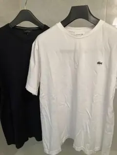 LACOSTE & ABAHOUSE Tシャツセット