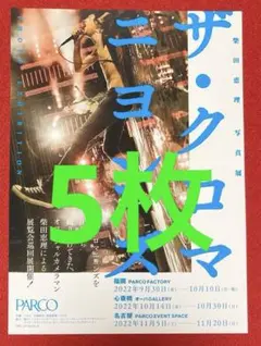 クロマニヨンズ ポスター Graphic Design」おしゃれまとめの人気アイデア｜Pinterest