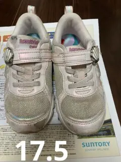 Item thumbnail for item 8bf4a542-8a91-41cf-b88f-6ed49020d269