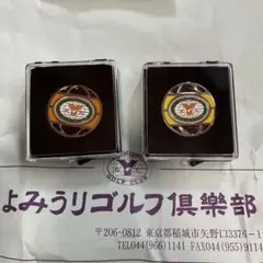 Item thumbnail for item 343b575f-a925-4c73-9c42-84f0afc33090