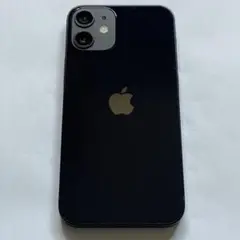 【デモ機】【本体のみ】iPhone 12 64GB 3H518J/A