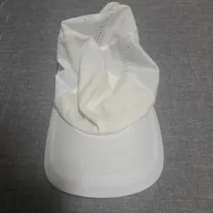 Item thumbnail for item 806ce24a-3d51-474d-a4d3-393ed776f58b