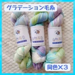 毛糸　手染め　グラデーション　 ３カセ　3本　セット　100ｇ×３ まとめ売り