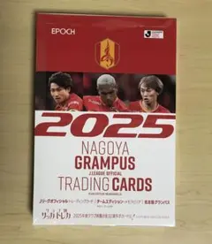 【未開封 シュリンク付き】 1BOX 2025 名古屋グランパス TE
