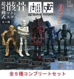 超可動式アクションスケルトン 全５種セット　カプセルトイ