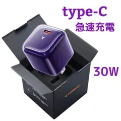 極小✨ TORRAS 30W 充電器 typeC 高速充電 パープル
