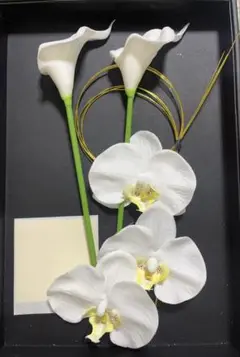 Item thumbnail for item c759d36e-ffea-43a8-99e8-223a1458836b