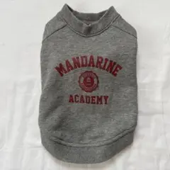 Item thumbnail for item 76b80e67-4438-46c9-a693-987637402034