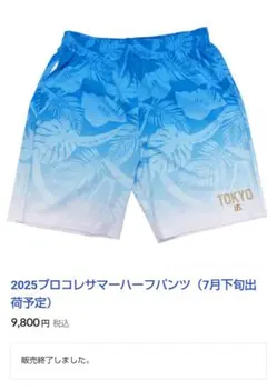 2025プロコレサマー半パンツ Lサイズ 青