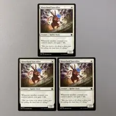 MTG FDN 内陸の聖別者 英語版 3枚セット