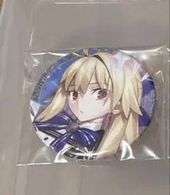 アーキタイプ・アース　fgo 霊基缶バッジ　缶バッジ　fgoフェス