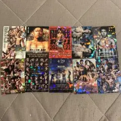 【10枚セット】RIZIN ライジン ポテトスナック メタリック プラ カード