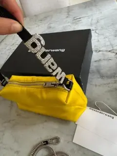 Alexander Wang Wangloc ラインストーン クラッチバッグ Alexander Wang Wangloc ラインストーン クラッチバッグ