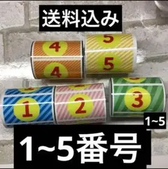 カリーノ　バンビーノPOP1~5 無加工品