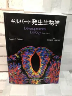 ギルバート発生生物学 第10版 ギルバート発生生物学 第10版