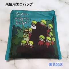 非売品未使用★コンパクトエコバッグ　クマくんとおひさまえんのえんそく