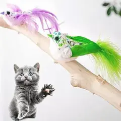 ✨大特価✨猫のおもちゃ 鳥の羽猫 おもちゃ グリーンパープル 猫用品 ねこ