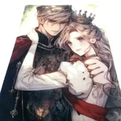 パネル № 62 ハンドメイド ブックカバー【文庫本】王女と騎士