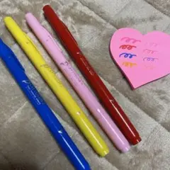 プレイカラー 水性サインペン 4色セット