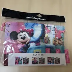ディズニーリゾート　ミニー　巾着　イマジニングザマジック　実写　きんちゃく