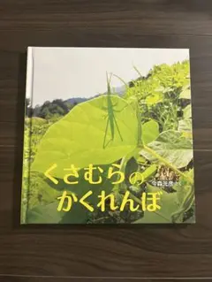 くさむらのかくれんぼ