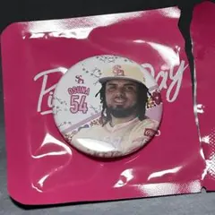 福岡ソフトバンクホークス オスナ ピンクフル缶バッジ タカポイント