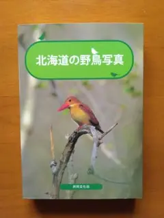 北海道の野鳥写真