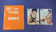 長澤奈央　 トレーディングカー　グラビアアイドル