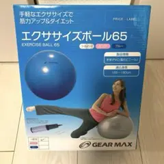 バランスボール 65cm シルバー
