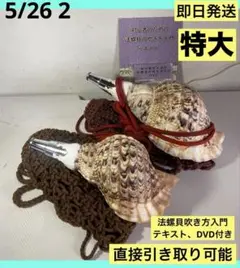 法螺貝 袋 中 ブルーグレー 七宝編み