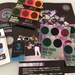 千葉ロッテマリーンズ クリアカード　 角中勝也　クーリッシュキーホルダー　BSW