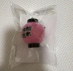 Item thumbnail for item 393f199e-f840-477b-9238-5c6585823ee4