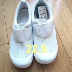 上履きズック　白　マジックテープ　22.5cm　トップバリュー