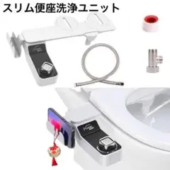 Item thumbnail for item 5d6f954f-bab4-404f-9dc8-8fbb2f3d7d28