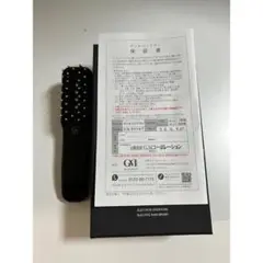 電気バリブラシ 正規品 ELECTRIC BARI BRUSH エレクトロニック