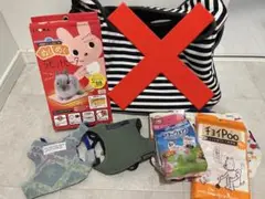 Item thumbnail for item 02d8c5a6-330c-457a-915f-9508ebd9f60e